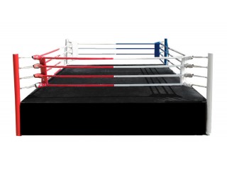 Boxing/Muay Thai ring 7.6 x 7.6 m