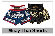 Muay Thai Shorts