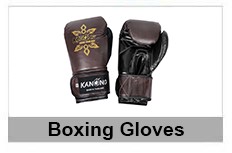 muay thai gloves